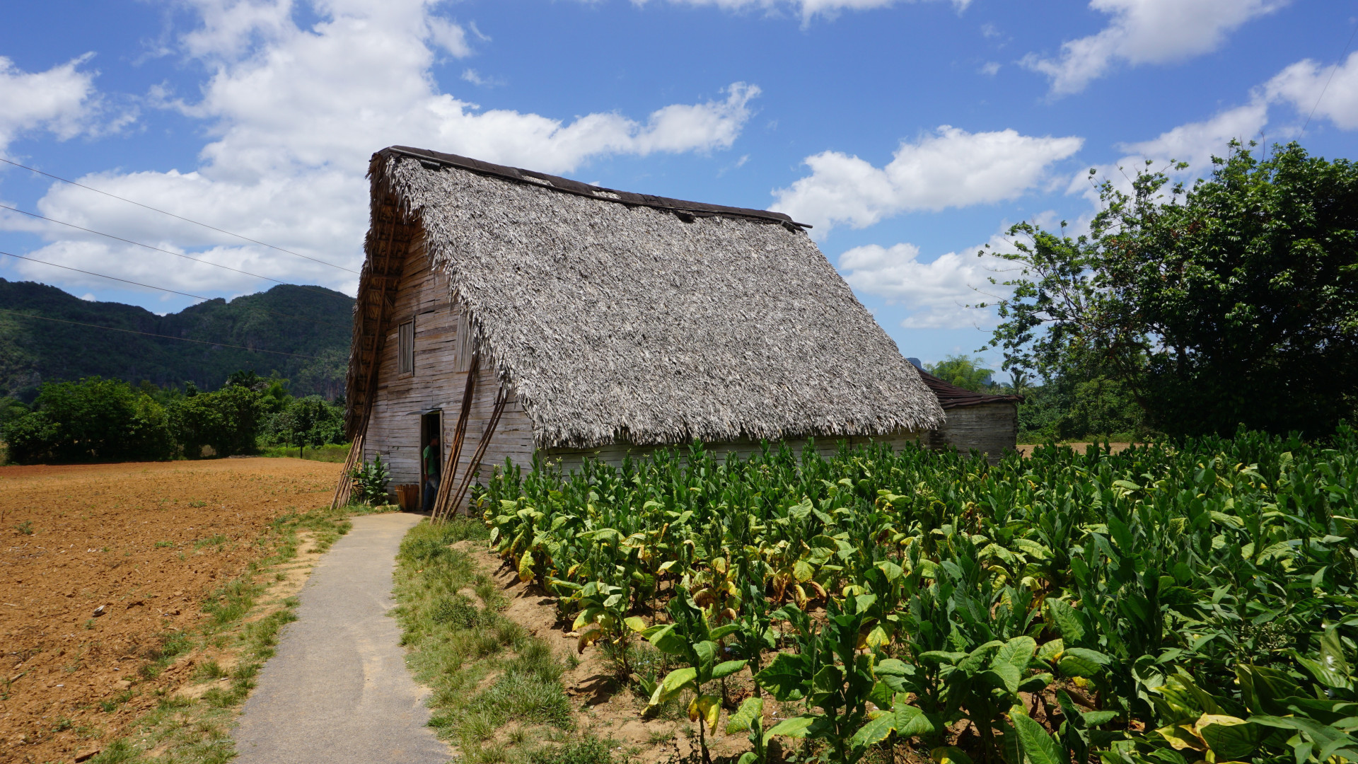 A week in Cuba Part 2: Vinales › WorldWideWendy