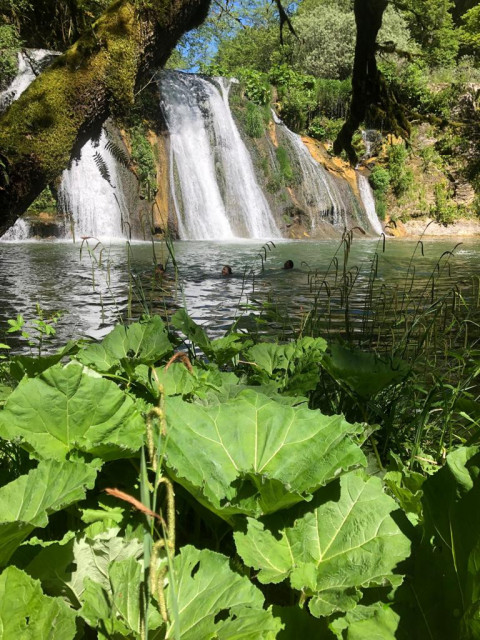 Chateau Amelie (23) 3