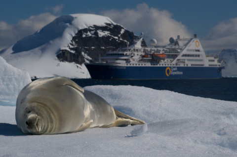 Cruise Antarctica
