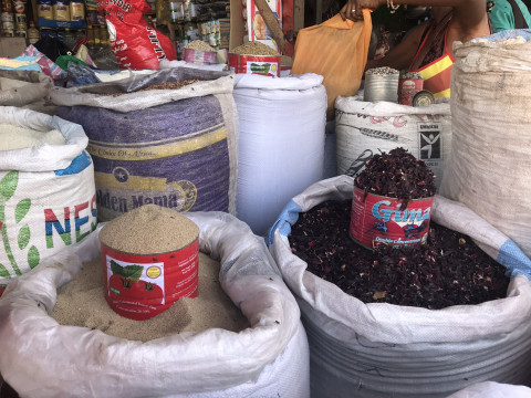 Daytrip Gambia (1)