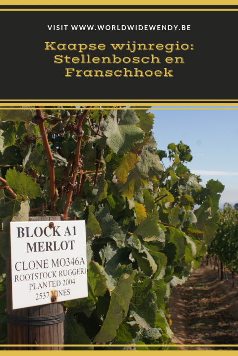 Kaapse Wijnregio Stellenbosch En Franschhoek