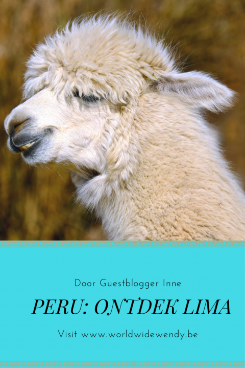 Peru Ontdek Lima 2