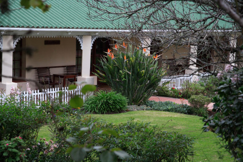 Rose Court Img 2157001