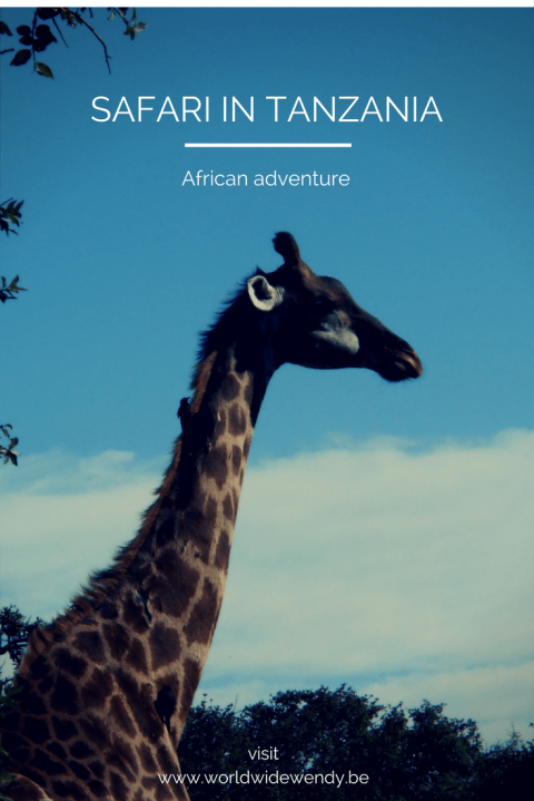 Safari In Tanzania