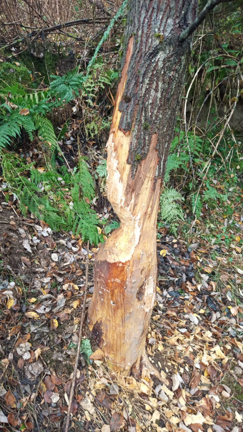 Weekend Ardennen (2)