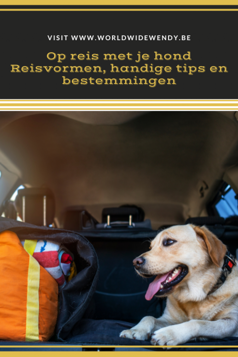 Reizen Met Hond