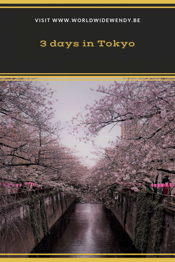 3 Days In Tokyo