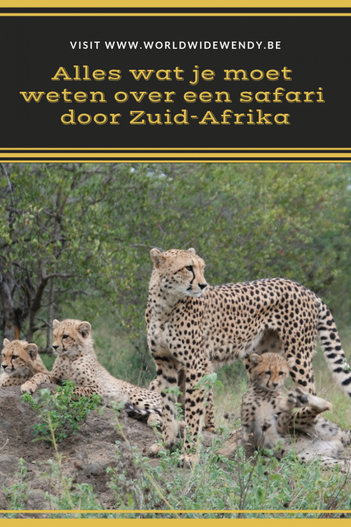 Alles Wat Je Moet Weten Over Een Safari Door Za