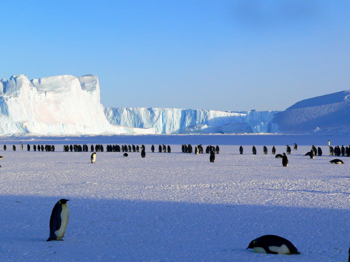 Antarctica Cruise