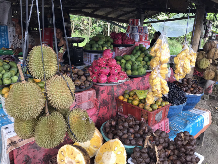 Bali En Singapore Wm (151)
