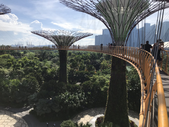 Bali En Singapore Wm (39)