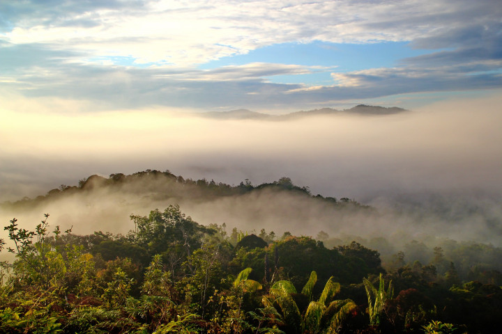 Borneo