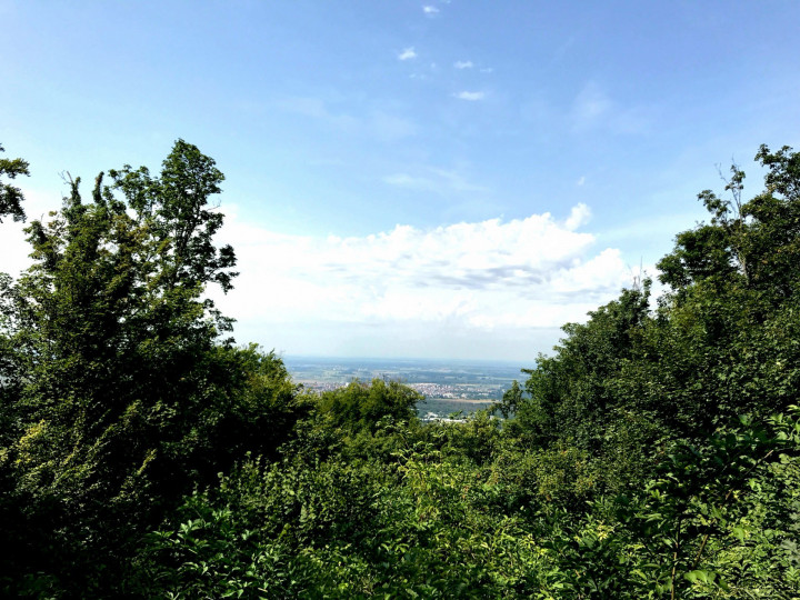 Burcht Frankenstein View