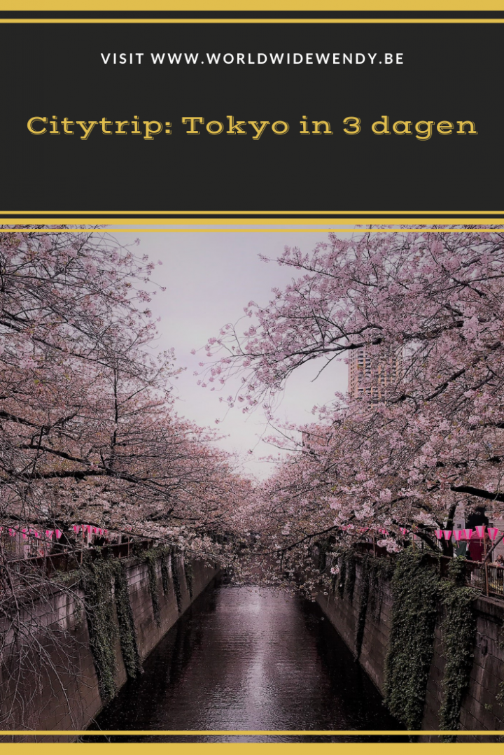 Citytrip Tokyo In 3 Dagen