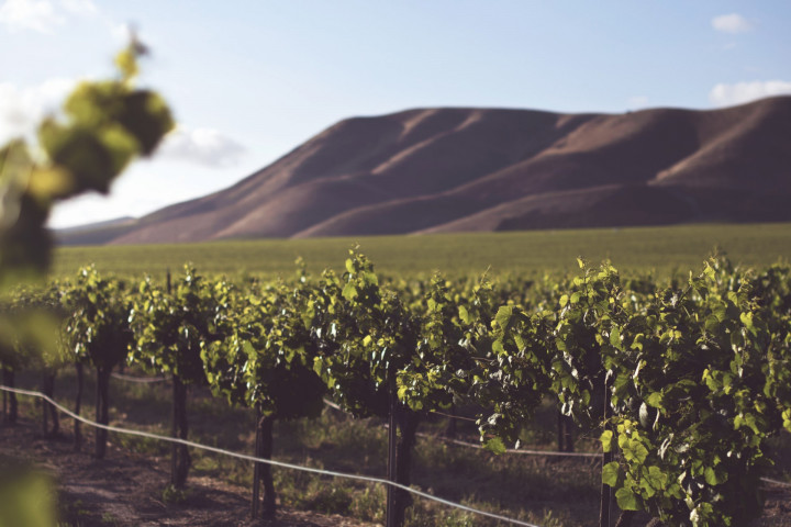 Colorado Wine Road Trip