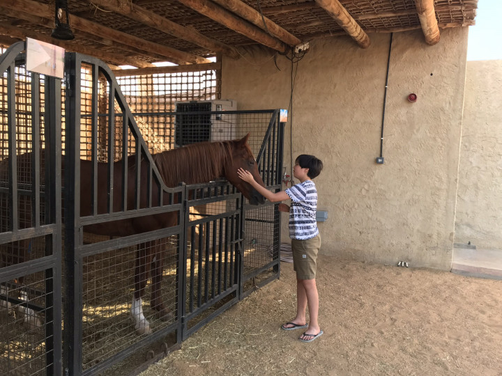 Dag 1 Qasr Al Sarab Abu Dhabi (24)