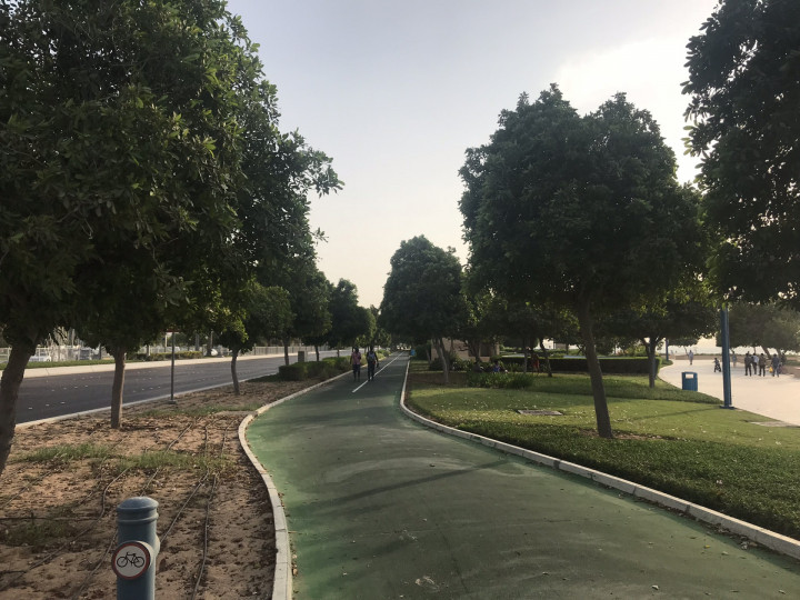 Dag 7 Abu Dhabi (20)