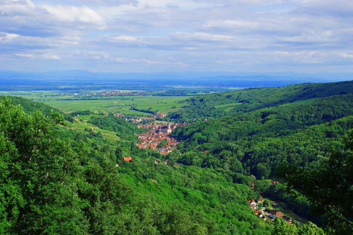 Elzas Landschap 2