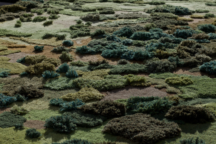 Gladecarpet Alexandrakehayoglou(2)