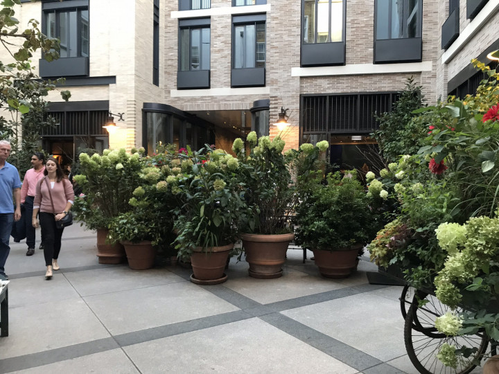 London 2018 (85)