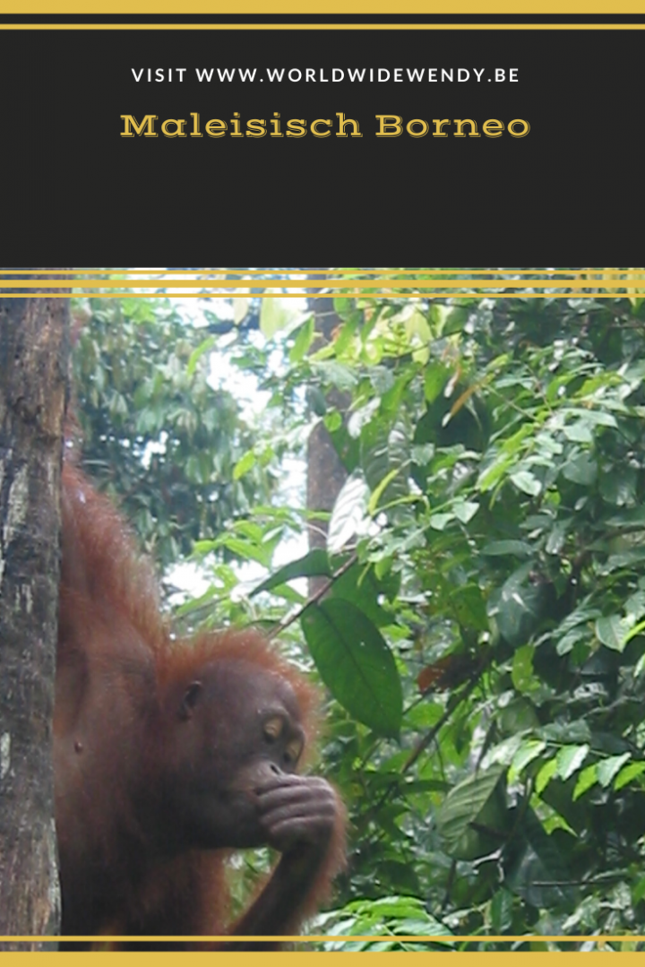 Maleisisch Borneo