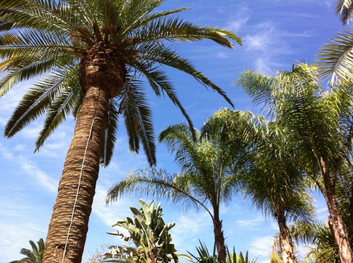 Marrakech