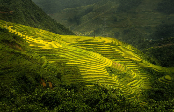 Sa Pa Vietnam