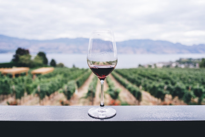 Wine Road Trip Us