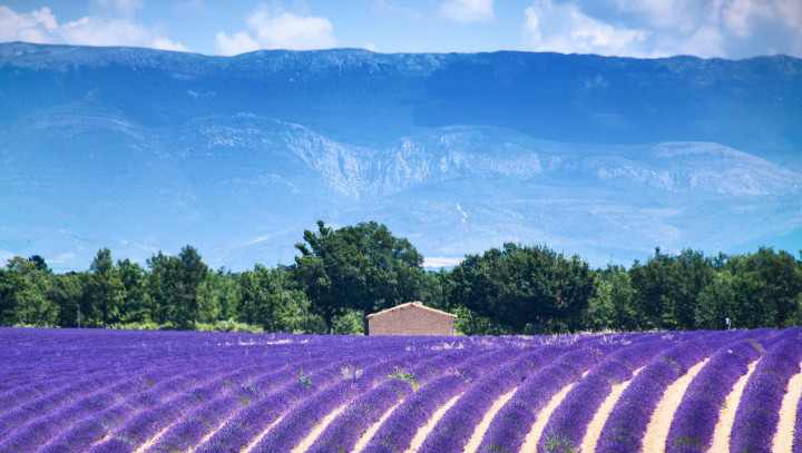 Camping Provence