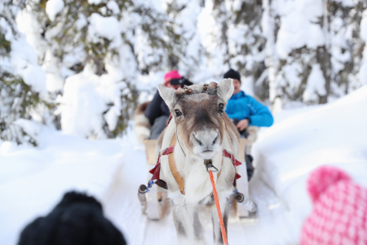 Finland Ruka Kuusamo Kidventure F94i4543